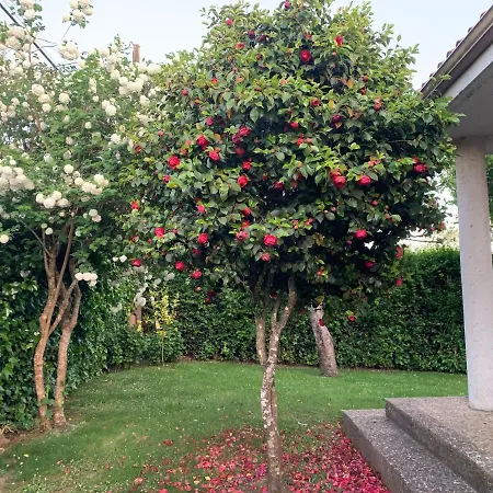 Villa Casa Otilia - Rural - Camino De Santiago - Arzúa Extérieur photo