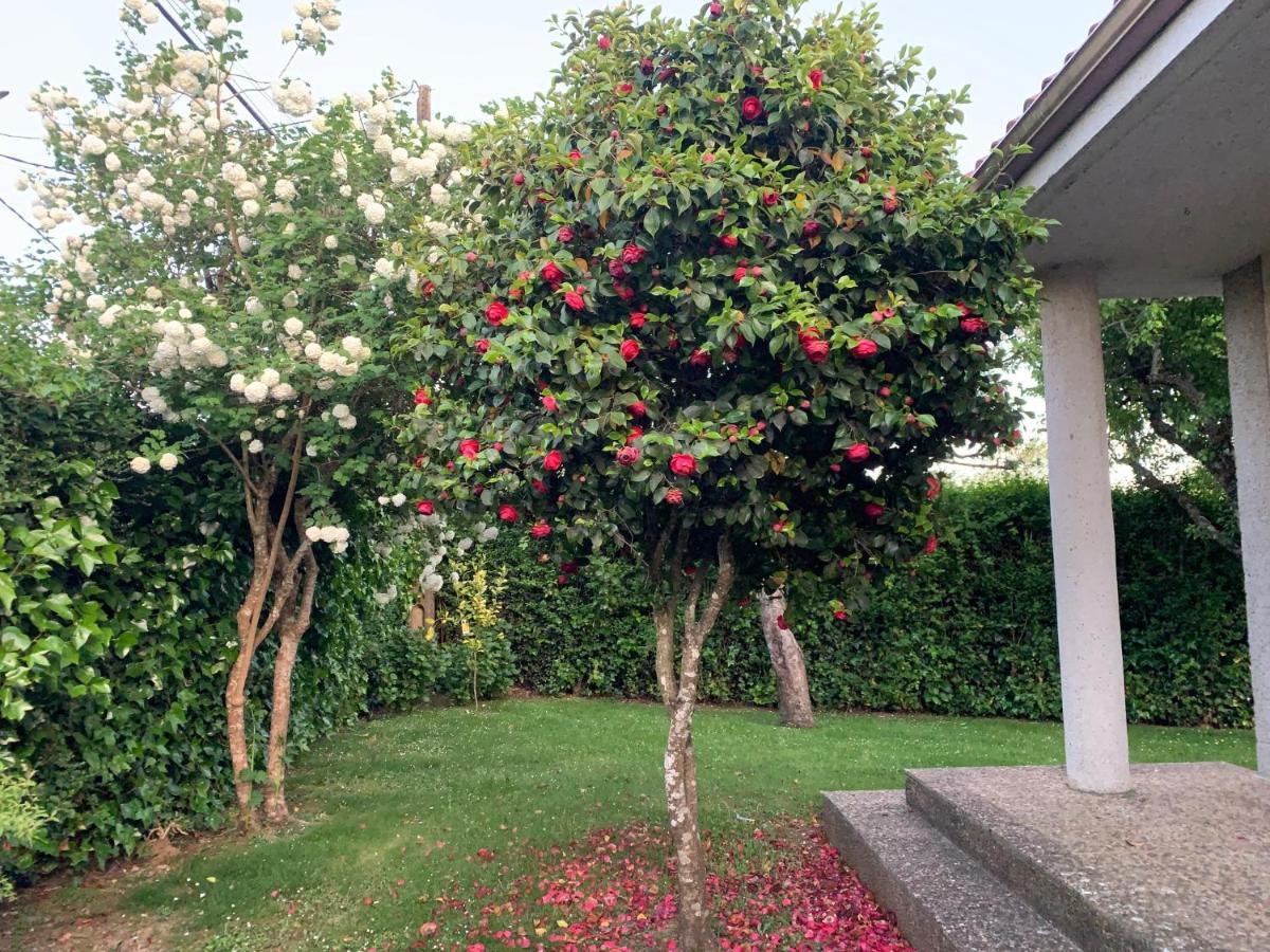 Casa Otilia - Rural - Camino De Santiago - Vakantiehuis Arzúa